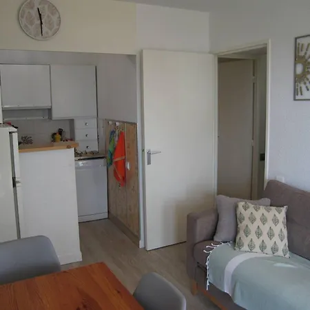 Saint-cyprien: T2 Renove 6 Pers, Piscine, Parking, A 100m De La - Fr-1-106-80 * Saint-Cyprien (Pyrenees-Orientales)