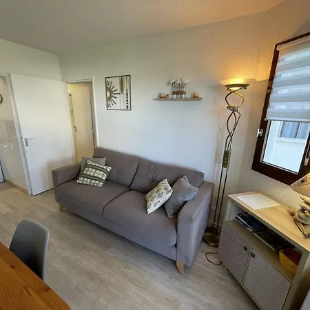 Saint-cyprien: T2 Renove 6 Pers, Piscine, Parking, A 100m De La - Fr-1-106-80 * Saint-Cyprien (Pyrenees-Orientales)